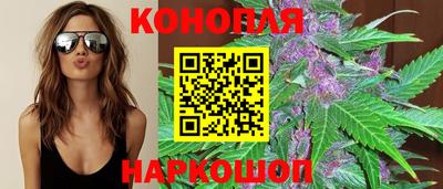 сатива Тверь