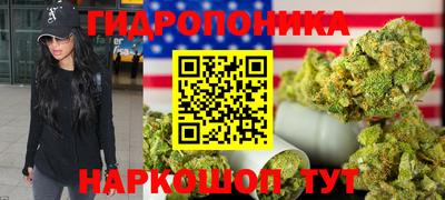сатива Тверь