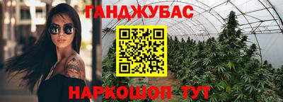 сатива Тверь