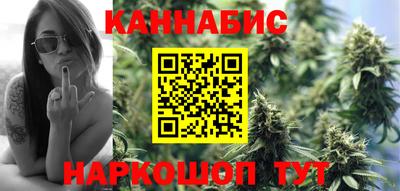 сатива Тверь