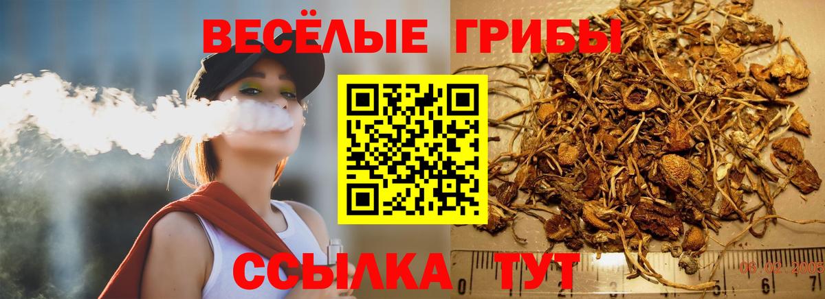 Псилоцибиновые грибы ЛСД Орёл